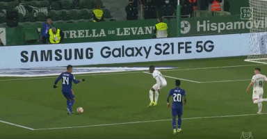 FIFA年度最佳女足教练候选：威格曼、希拉尔德斯在列