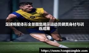 你的真
