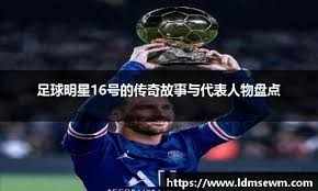 高度教练